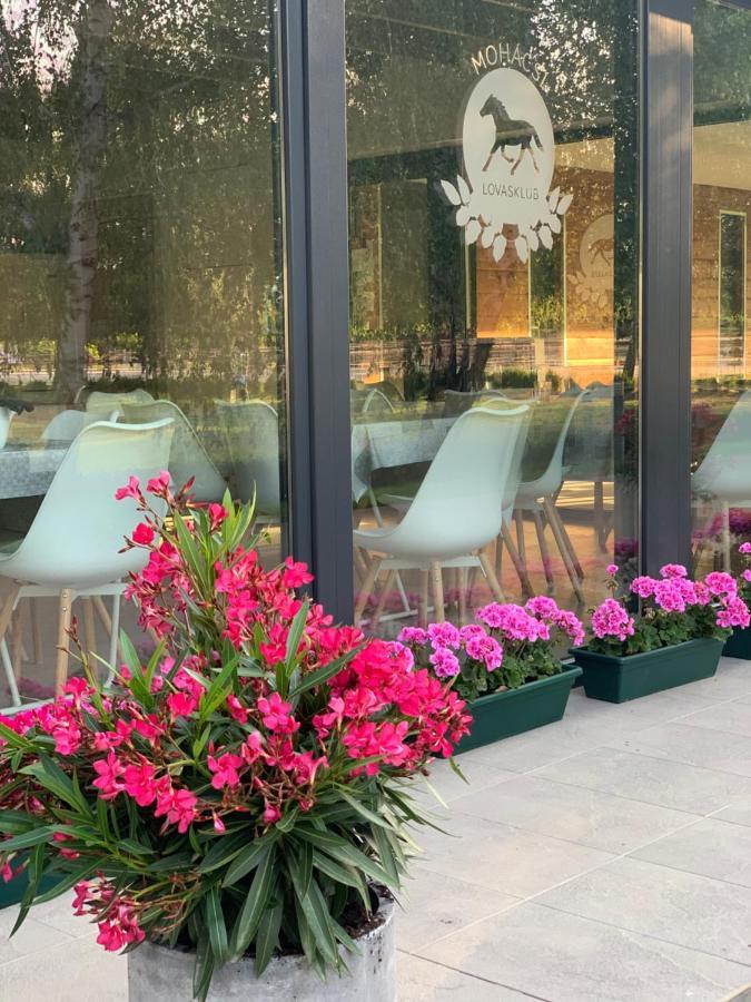 Mohacsi Wellness Vendeghaz Es Lovasklub Hotell Eksteriør bilde
